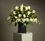 Load image into Gallery viewer, The Charmer