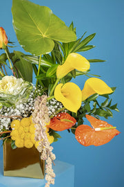 Shine Like a Star Flower Box