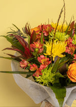 Load image into Gallery viewer, Sunlight