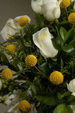 Load image into Gallery viewer, The Charmer