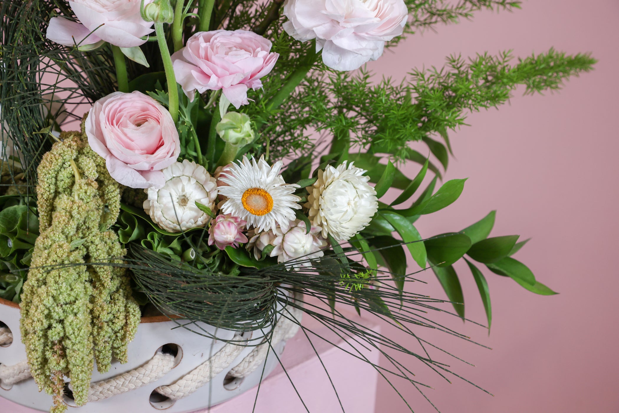 Florabel – FlorabelEgypt