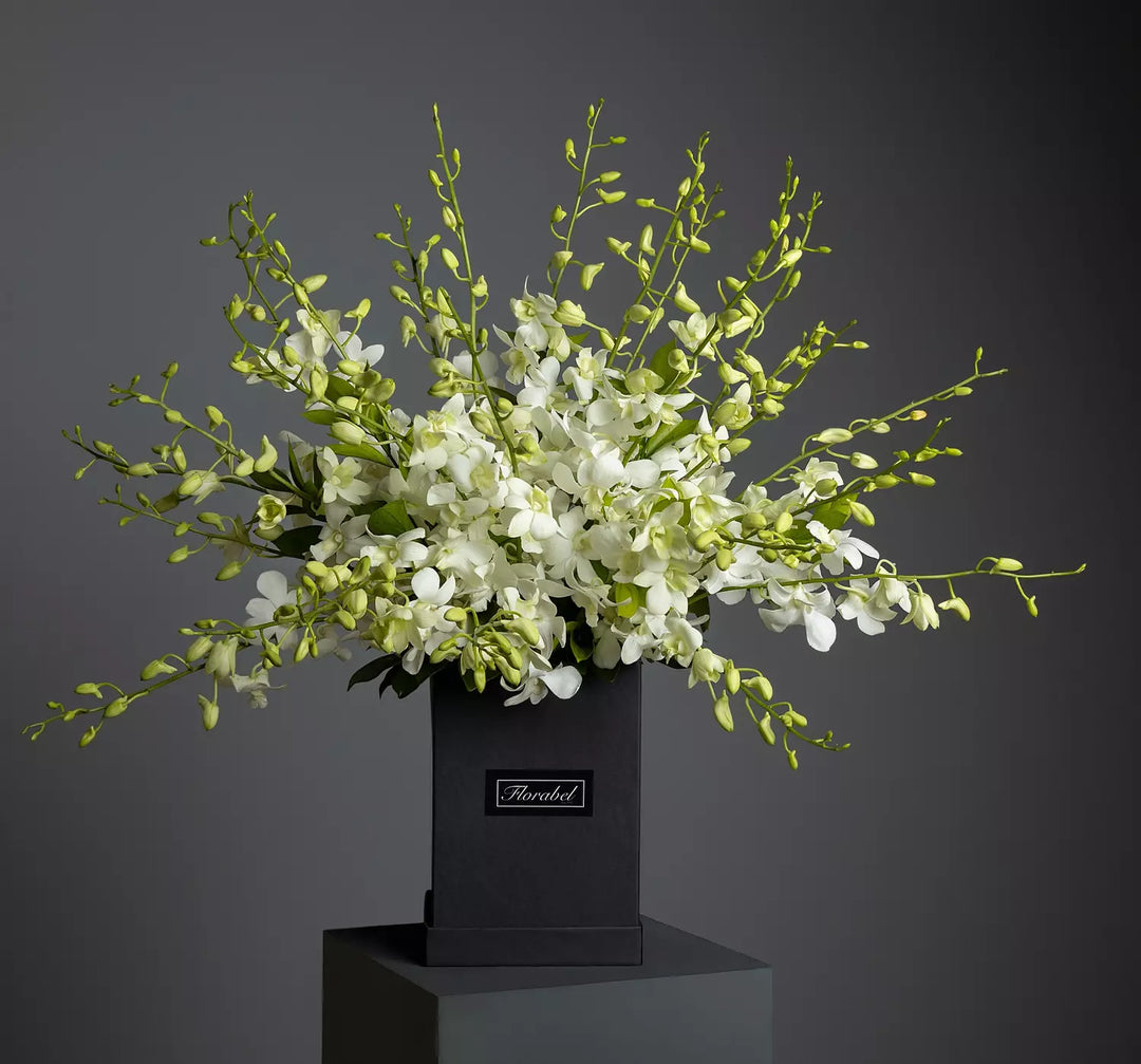 For the Love of Orchids