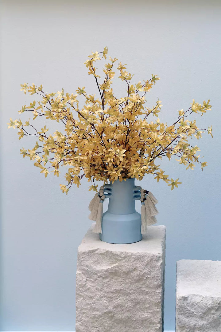 Dancing Lady Orchid in Yellow