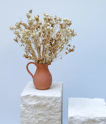 Load image into Gallery viewer, Carthamus Jug