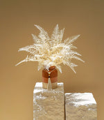 Load image into Gallery viewer, White Fern