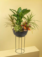 Load image into Gallery viewer, Mini Garden 2