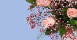 Load image into Gallery viewer, Painted Petals Flower Box