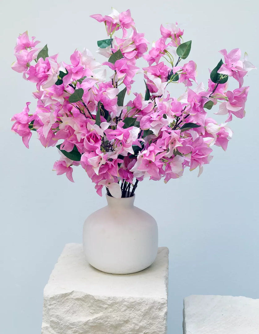 Pink Bougainvilleas