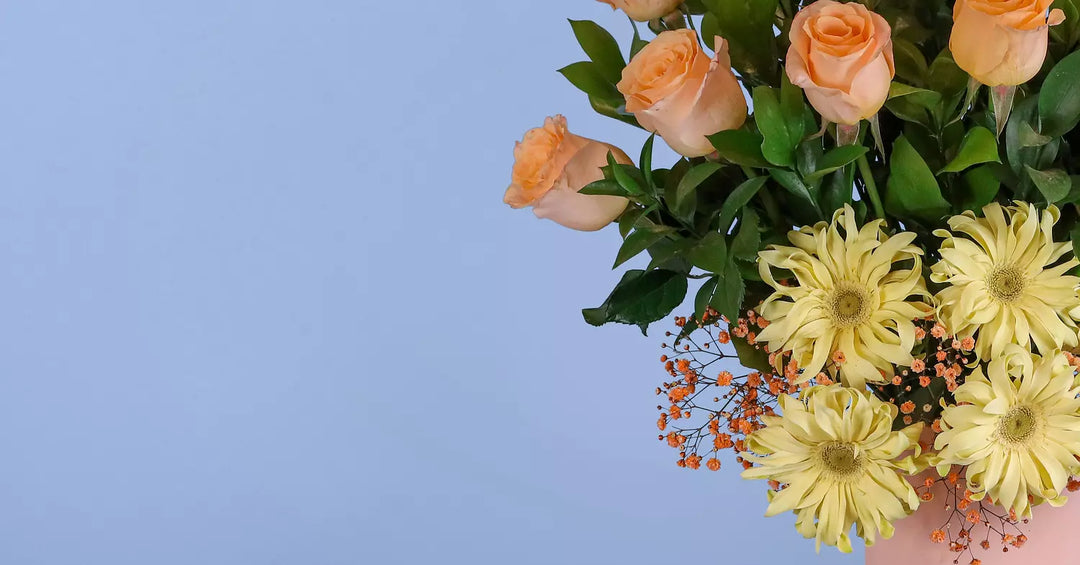 Peachy Waves Flower Pot