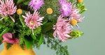 Load image into Gallery viewer, Pastel Pop Flower Pot