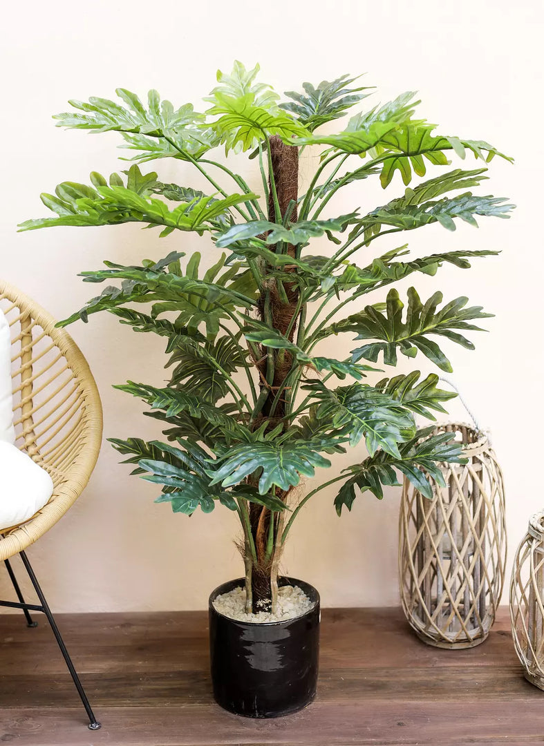 Artificial Selloum Plant 1