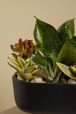 Load image into Gallery viewer, Succulent Garden