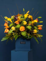 Load image into Gallery viewer, Sun In The Dark