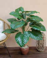 Load image into Gallery viewer, Artificial Alocasia Plant