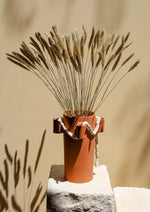 Load image into Gallery viewer, Setaria Pot