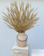 Load image into Gallery viewer, Prosperity Dried Wheat Pot