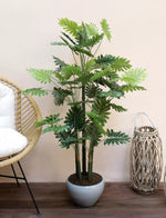 Load image into Gallery viewer, Artificial Selloum Plant 2