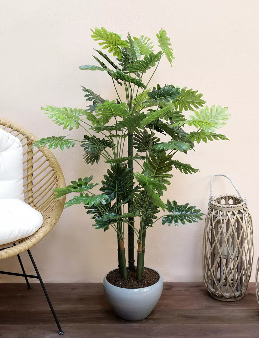 Artificial Selloum Plant 2