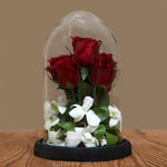 Load image into Gallery viewer, Love Dome