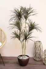 Load image into Gallery viewer, Artificial Dracaena Tricolor Plant