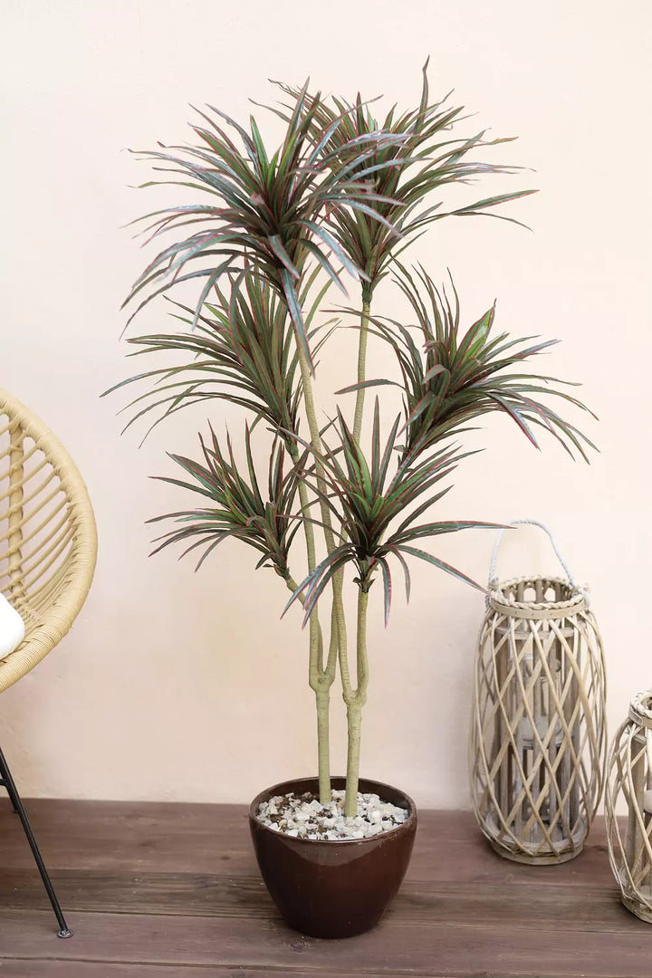 Artificial Dracaena Tricolor Plant