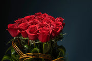 Love and Roses 2