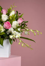 Load image into Gallery viewer, Cute and Simple