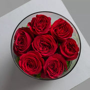 Love Tube - Harmony and Contrast