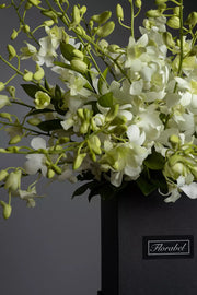 For the Love of Orchids