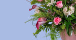 Load image into Gallery viewer, Pink Harmony Flower Pot