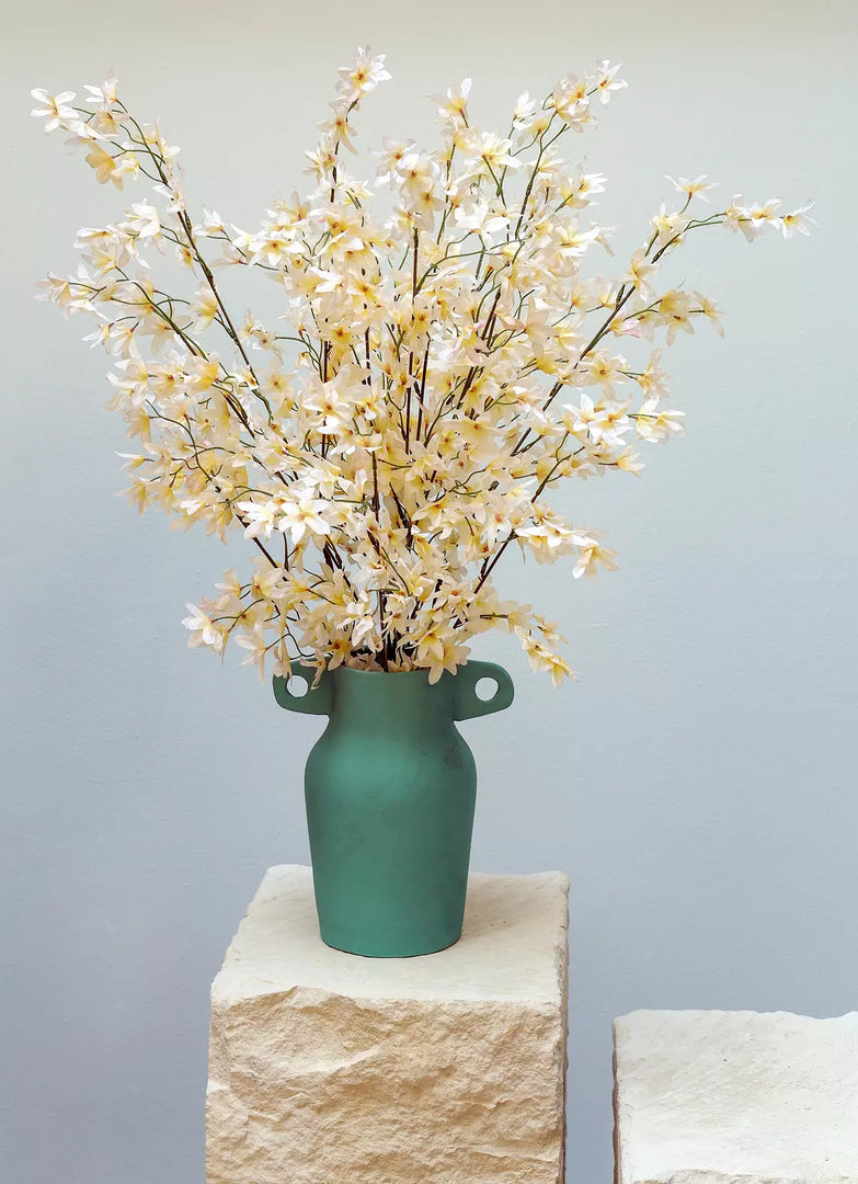 Dancing Lady Orchids in Cream